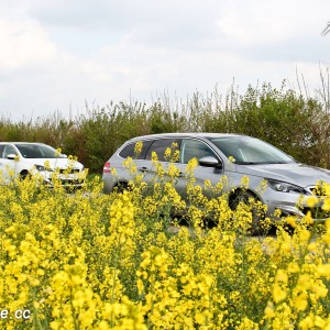 Essais Peugeot 308 SW – Le Touquet Paris Plage – Avril 2014