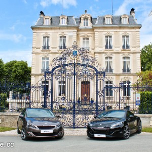 Rencontre Féline – Auvergne – Mai 2014