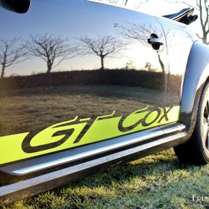 Photo déco Vert Vipère Volkswagen GT Cox Cabriolet (Décembre 2014)