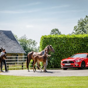 Photo officielle Ford Mustang 2015 : roadtrip Paris-Deauville