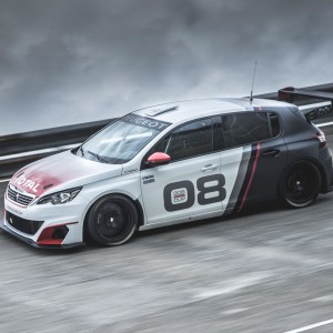 Photo officielle Peugeot 308 Racing Cup (2015)