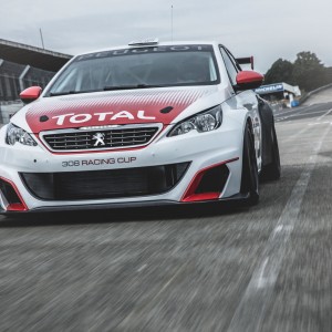 Photo officielle Peugeot 308 Racing Cup (2015)