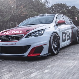 Photo officielle Peugeot 308 Racing Cup (2015)