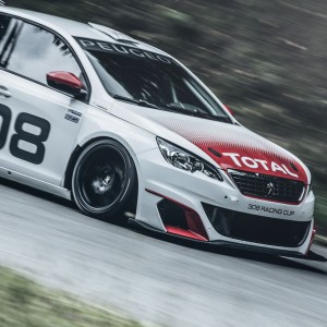 Photo officielle Peugeot 308 Racing Cup (2015)