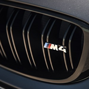 Photo sigle BMW M4 GTS (2015)