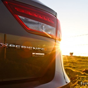 Photo sigle SEAT Leon X-PERIENCE (2015)