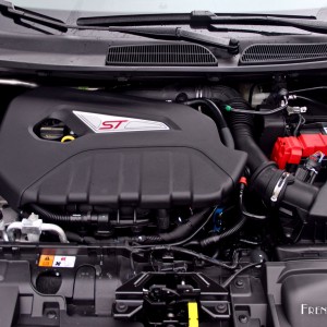 Photo moteur 1.6 EcoBoost 182 ch Ford Fiesta ST (2015)