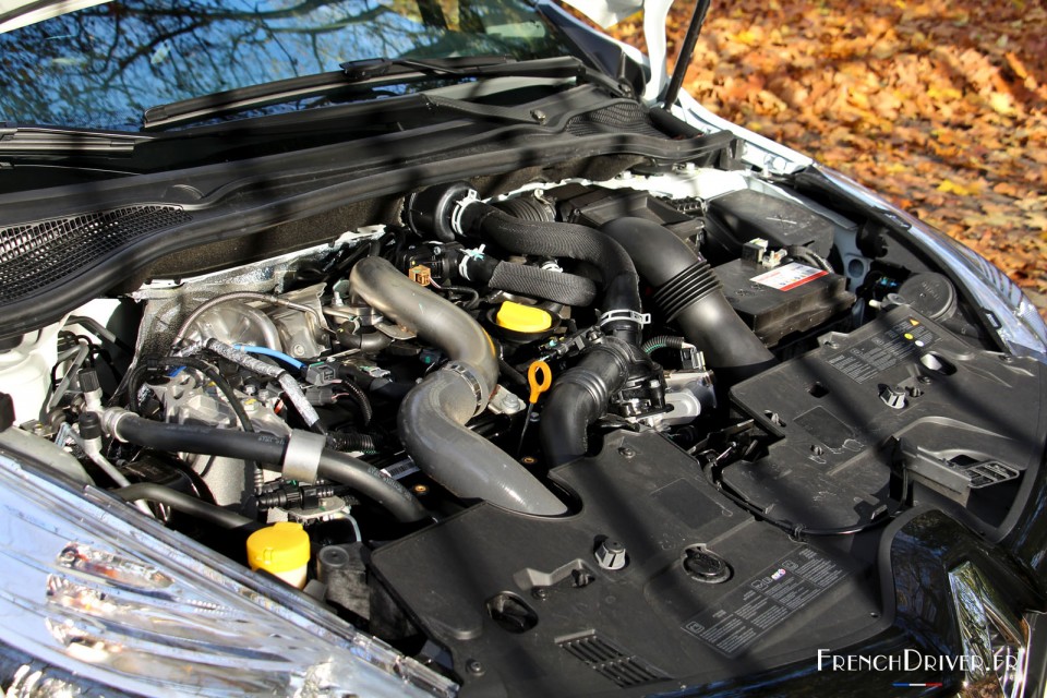 Photo moteur Renault Clio RS 220 EDC Trophy (2015)