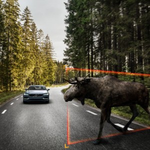 Photo détection des animaux nouvelle Volvo S90 (2015)
