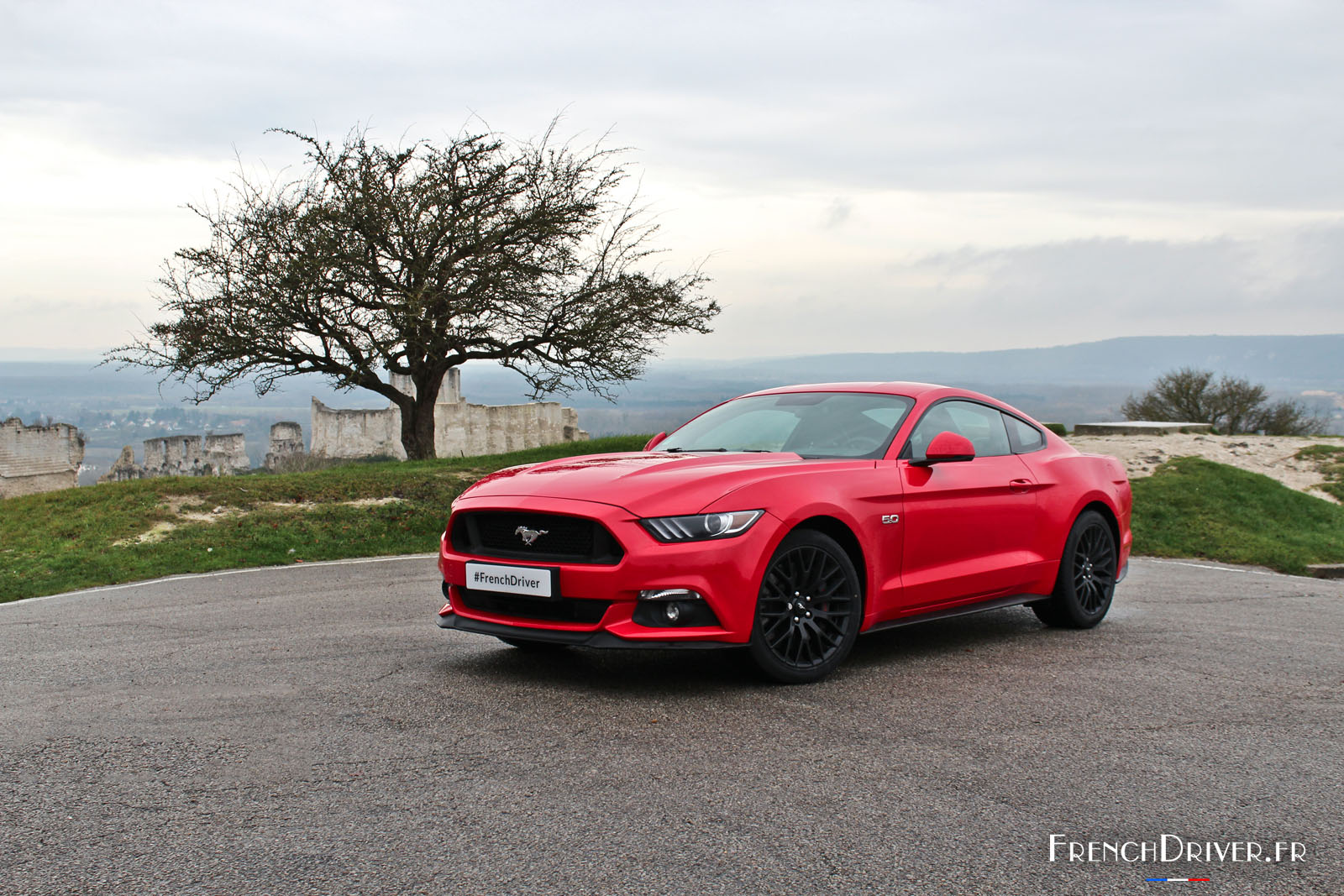 Essai de la nouvelle Ford Mustang : un étalon sauvage à dompter