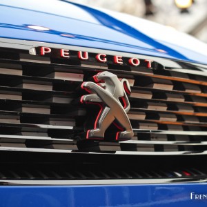 Photo calandre Peugeot 308 R HYbrid – Expo Concept Cars Paris 20