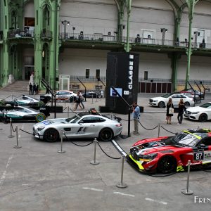 Photo Exposition Mercedes Grand Palais Paris (2016)