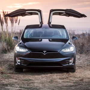 Photo portes ouvertes Tesla Model X 60D (2016)