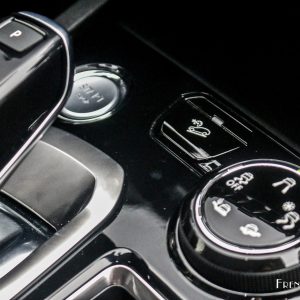 Photo Grip Control Peugeot 5008 II (2017)