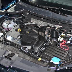 Photo moteur essence TSI Škoda Karoq – Présentation à Stockho
