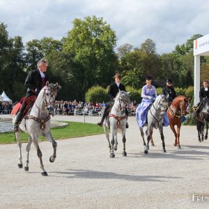 Photo spectacle équestre Mario Luraschi – Chantilly Arts & Eleg