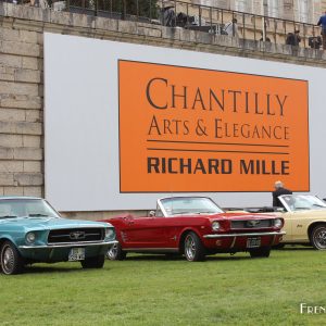Photo Chantilly Arts & Elegance 2017