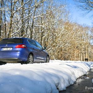 Photo face arrière Peugeot 308 restylée PureTech 130 EAT8 (201