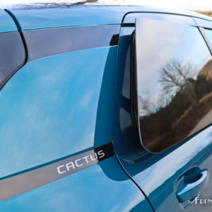Photo vitre arrière Citroën C4 Cactus restylée (2018)