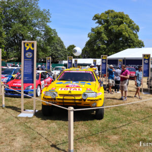 Photo Rassemblement du Siècle 100 ans Citroën (2019)