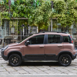 Photo profil Fiat Panda Trussardi (2019)