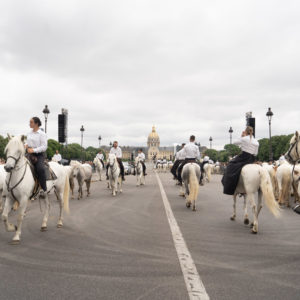 Photo Renault Mégane E-Tech Paris – Electro Horse Parade 2022